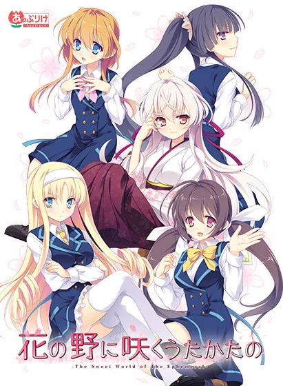 五色浮影绽放于花之海洋