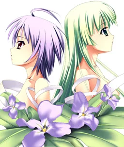 紫罗兰·里 合集